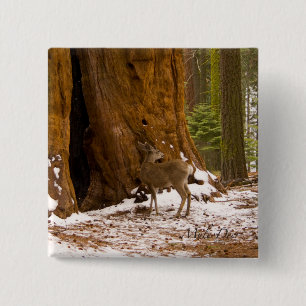 Mule Deer 2 Inch Square Button