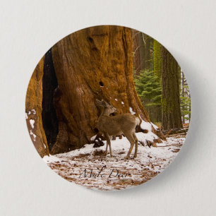 Mule Deer 3 Inch Round Button