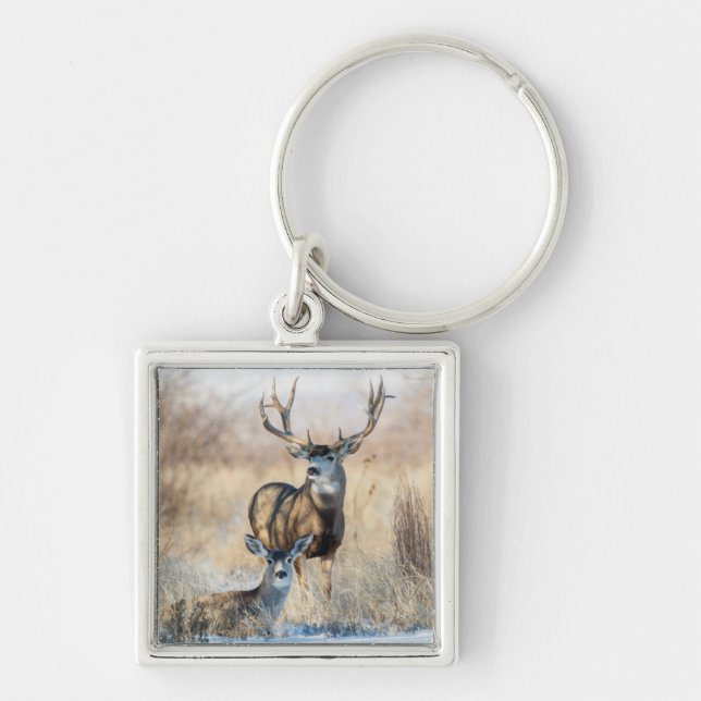Mule Deer Buck and Doe Keychain (Front)