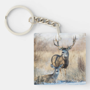 Mule Deer Buck and Doe Keychain