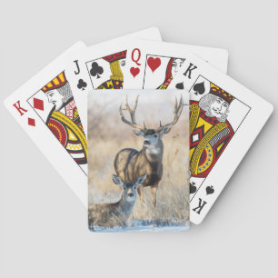 Mule Deer Buck and Doe Playing Cards