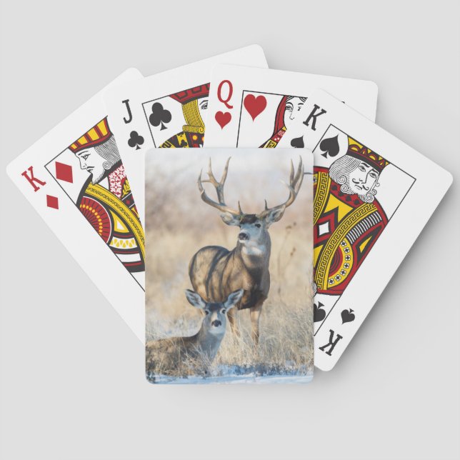 Mule Deer Buck and Doe Playing Cards (Back)