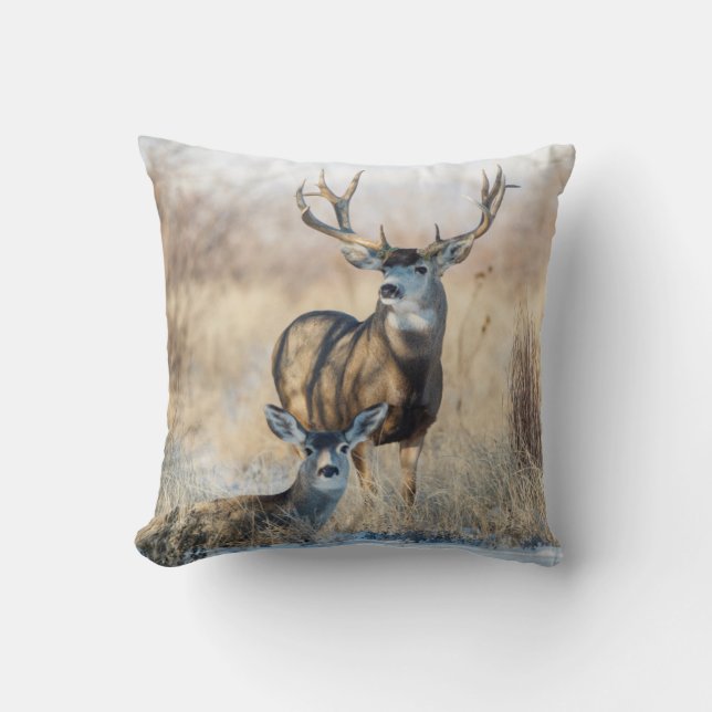 Mule Deer Buck and Doe Throw Pillow (Front)