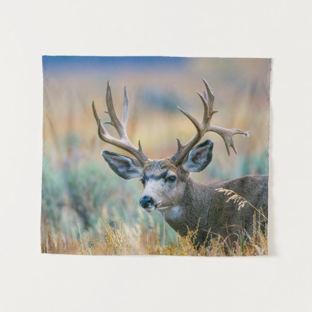 Mule Deer Buck | Grand Teton National Park Wyoming Tapestry (Front (Horizontal))