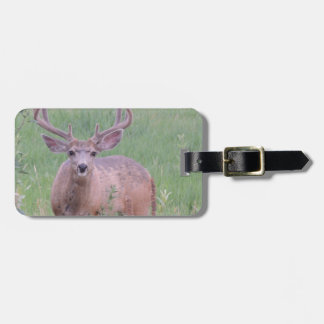Mule Deer Buck Luggage Tag