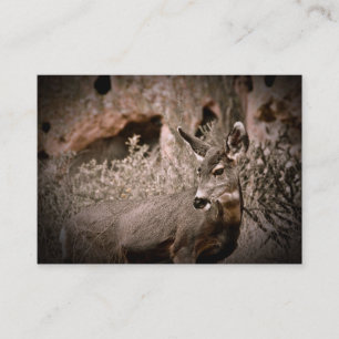 Mule Deer Business Card