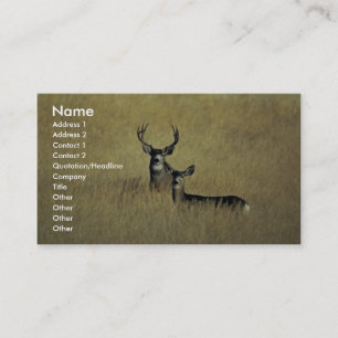 Mule Deer Business Card