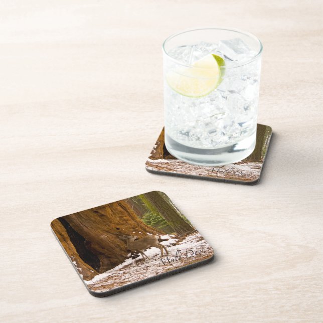 Mule Deer Coaster (Right Side)