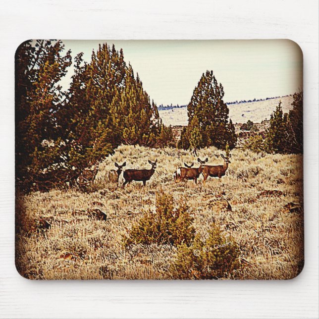 Mule Deer Does Mouse Pad (Front)