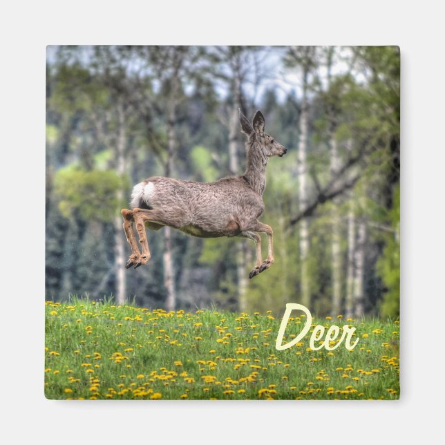 Mule Deer & Field Wildlife Animal Design Magnet (Front)