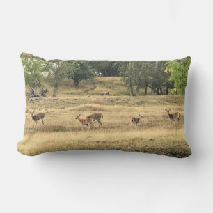Mule Deer in a Field, Joseph, Oregon Lumbar Pillow