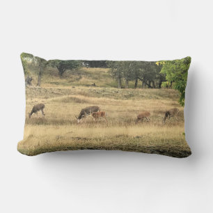 Mule Deer in a Field Lumbar Pillow