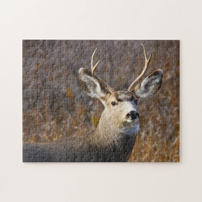 Mule Deer. Jigsaw Puzzle (Horizontal)