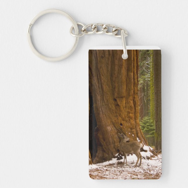 Mule Deer Keychain (Front)