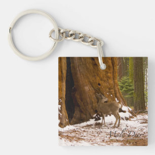 Mule Deer Keychain