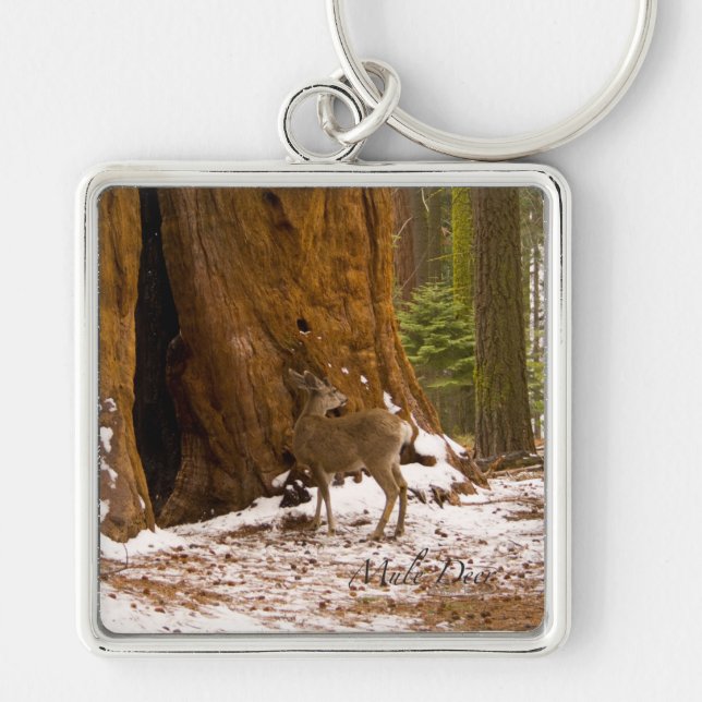 Mule Deer Keychain (Front)