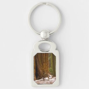 Mule Deer Keychain