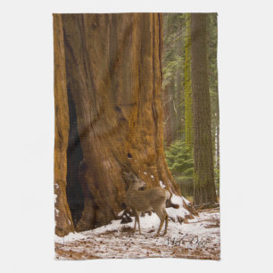 Mule Deer Kitchen Towel