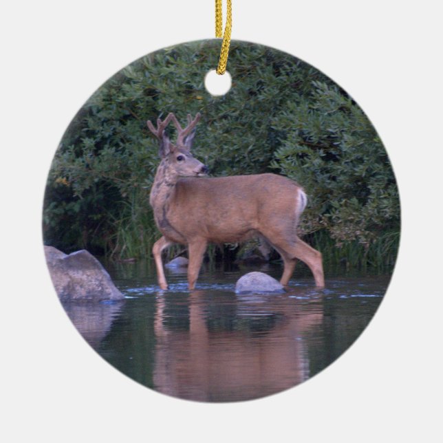 "Mule Deer Making an Early Morning River Crossing" Ceramic Ornament (Front)