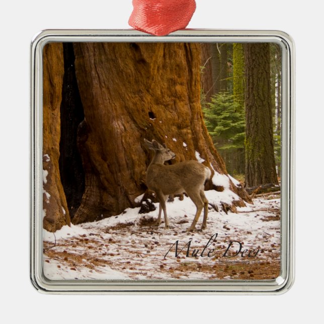 Mule Deer Metal Ornament (Front)