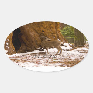 Mule Deer Oval Sticker