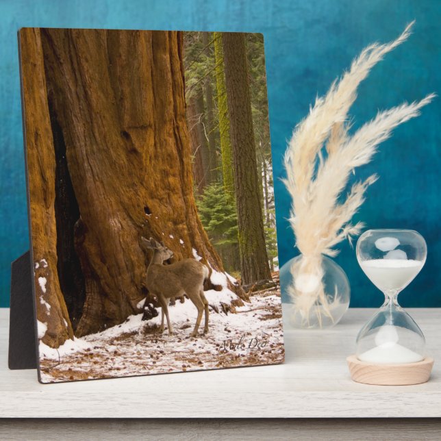 Mule Deer Plaque (Side)