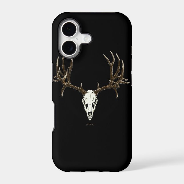 Mule deer skull (Back)