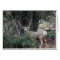 Mule deer spur buck