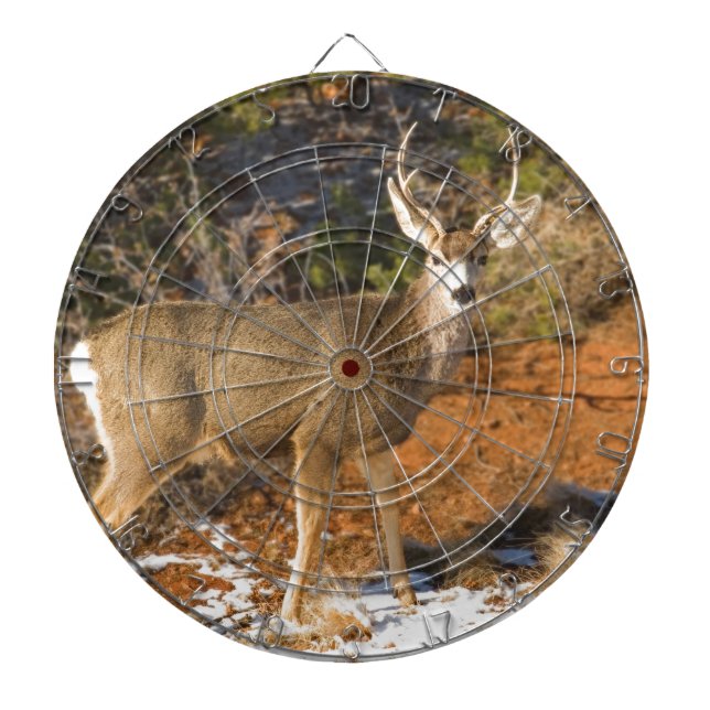 Mule Deer Staring Dartboard (Front)