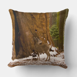 Mule Deer Throw Pillow