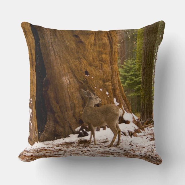 Mule Deer Throw Pillow (Front)