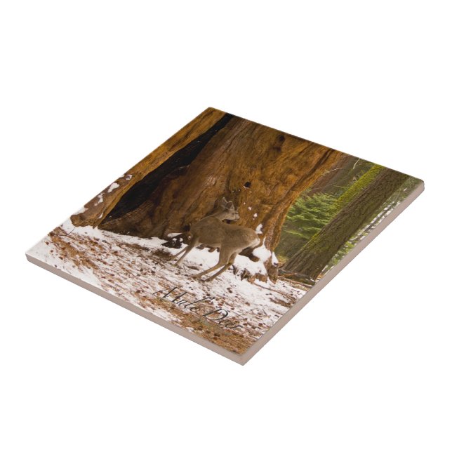Mule Deer Tile (Side)