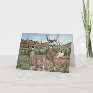 Mule Deer Wildlife Art Card