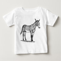 Mule Drawing, Stubborn