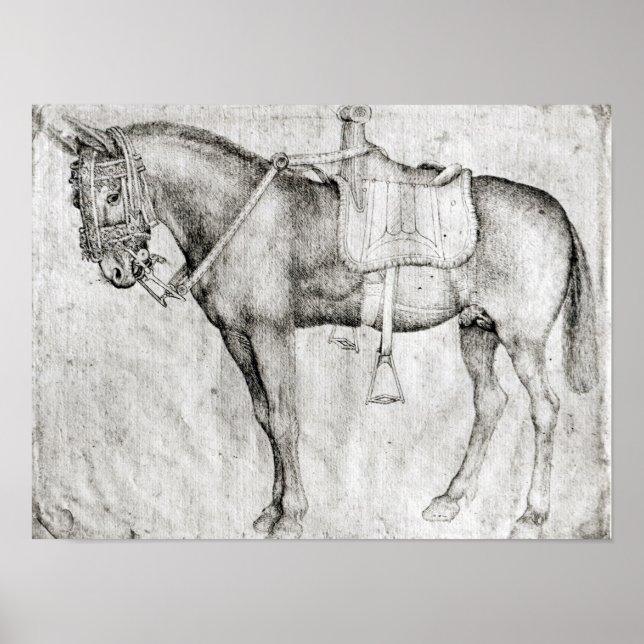Mule, from the Vallardi Album Poster (Front)