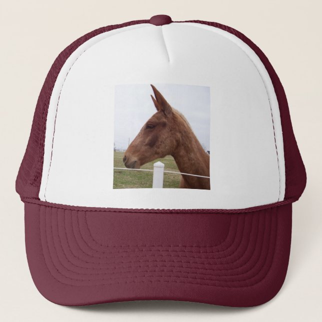 Mule-Headed Hat / Cap (Front)