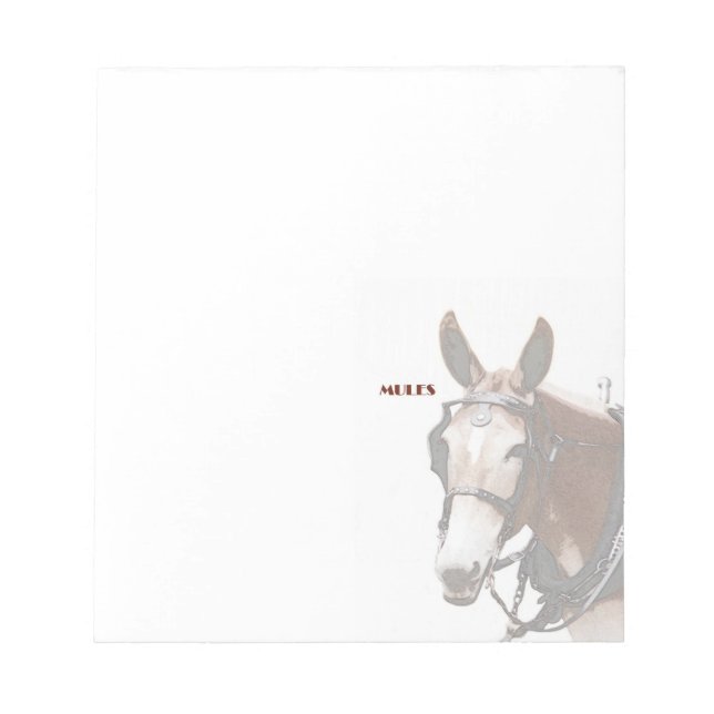Mule Notepad (Front)