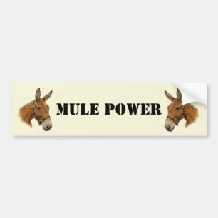 Mule Power Bumper Sticker