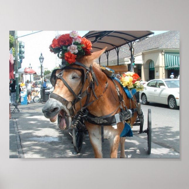 Mule ride poster (Front)