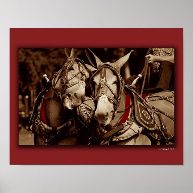 Mule Speak Poster (Front)