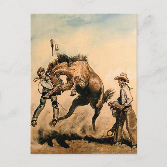 “Mule” Western Art by Will James Postcard (Front)