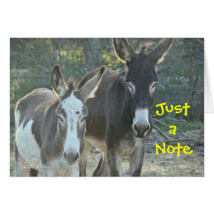 Mules blank card