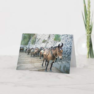 Mules en Grèce Cartes de voeux