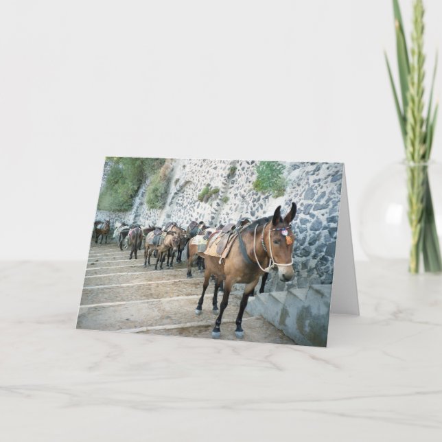 Mules in Greece Greeting Cards (Front)