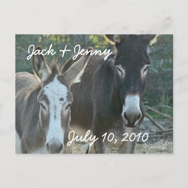 Mules-save the date-customize announcement postcard (Front)
