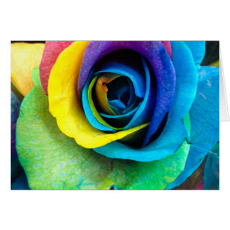 Mulit-Coloured Rose by SnapDaddy, can Personalize!