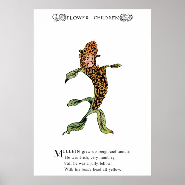 Mullein Poster (Front)