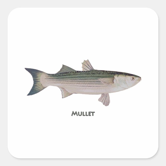 Mullet Logo Square Sticker (Front)