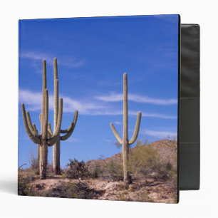 Multi armed Giant Saguaro cactus, Saguaro Binder