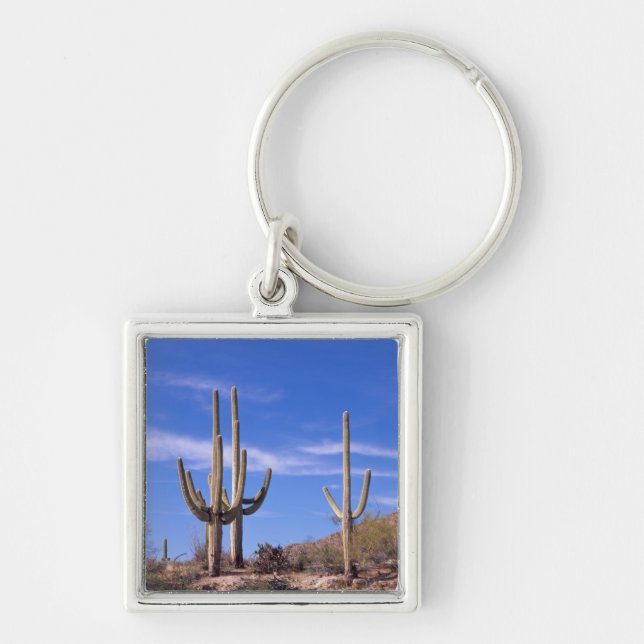 Multi armed Giant Saguaro cactus, Saguaro Keychain (Front)